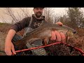 Splake and Tiger trout fishing in Saskatchewan