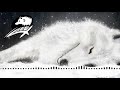 Wolf's rain unreleased soundtrack