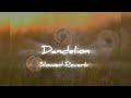 Dandelion (Slowed-Reverb)