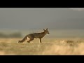 Grand Canyon - The Jaw-Dropping Beauty of America's National Park | Free Documentary Nature