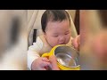 The Cuteness babies Overload || The Ultimate Funny and Adorable Babies Videos Compilation
