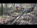 Chopping Firewood & Chatting 🪓- Dead Oak, Prt 3
