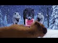 WOLF GAME | ❗So miserable! 😭Puppies are always abandoned, will they survive  #wolfgame #shorts