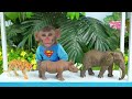 Monkey Baby Bon Bon eat jelly fruit ice cream and naughty with ducklings in the swimming pool