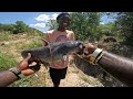 Fishing for monster catfish big blue catfish with live bait bluegill/shellcracker/sunfish