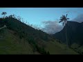 Cocora Valley, Colombia Dusk (4K HDR) 🇨🇴