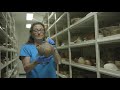 Pottery Vault Tour: The Ethnological Collections