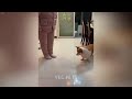 😂 A fun day with silly cat actions 😅🙀 Funny Cats Videos 😂😹