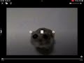 Poor hamster :( subscribe to make him feel happy :) #sadhamster