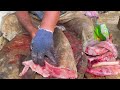 KASIMEDU 🔥 MR GOVINDH | 41 KG GIANT BROWN COBIA FISH CUTTTING | IN KASIMEDU | HD VIDEO |FF CUTTTING