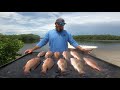 How to catch snapper in Tampa Bay!