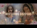 EL SANTO ROSARIO DE HOY SÁBADO 10 DE AGOSTO 2024🌷🌺MISTERIOS GOZOSOS//Santo Rosario de Hoy//NUEVO