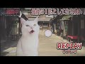 戦闘中をすることになった猫たちの日常Part2【猫ミーム】【猫マニ】