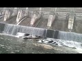 tanu dam vlogs 10 Jan 2024