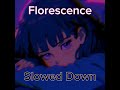 Narvent & Willix - Florescence (Slowed)