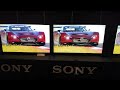 SONY BRAVIA 9 VS A95L QD-OLED! Sibling TV Battle!