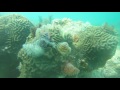 Scuba Diving | Key West, Florida