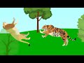 Tigre Bengala VS León Africano                         |STICKNODES|