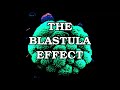 BLASTULA 2.0