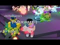 I traded 5 RANDOM MEGA PETS in Adopt Me!