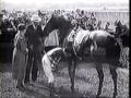 War Admiral