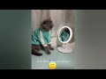 New Funny Animals 🤑👋 Best Funny Dogs and Cats Videos Of The Week🐶😻