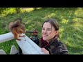 Baby squirrel released to the wild, shows rescuer his new home (Episode 6)