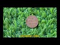 TOP 50 ULTRA RARE LINCOLN PENNIES WORTH A LOT OF MONEY! PENNIES WORTH MONEY