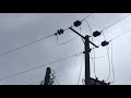 Overhead Power Lines 11kV to 400 Volts Delta to Star. Rural Single Phase Supplies on Wooden Poles