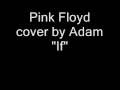 Pink Floyd cover by Adam If