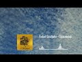 Rebel Souljahz - Spaceship (Audio)