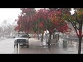 2019 12 07 Rainy Day in Redwood City