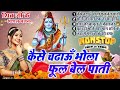 शिव भजन || कैसे चढ़ाऊ भोला फूल बेल पाती  -Top 5 - Nonstop Shiv Ji Ke Bhajan |Bhole Baba Ke Bhajan