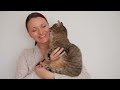 12 Secret Signs Your Cat Loves You But You Don't know