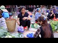 Harvest Blue Pear & Goes to the market sell - Harvesting and Cooking | Daily Life