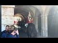 BREAKING THE RECORD: Part 2 Highest Rear  up At Horse GUARDS
