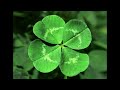 Traditional Irish Folk Song