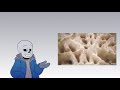 Sans explains how bone is repaired | Animated by AbsoluteDream