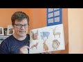 Animals in Spain. Preschool and Kindergarten morning routine. English Class