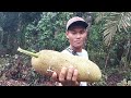 melihat buah cepedak hutan bersama saudarah