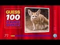 Guess 100 Strange Animals in 4 Seconds 🐞 || Animal Quiz