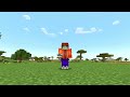 Minecraft Commands Only 0.003% of Players Know (Hindi)