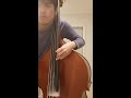 Double Bass Practice5