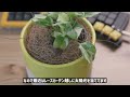 【デスクツアー】オタク人生を謳歌するためのデスクを全公開します【Desk Setup 2024 Spring】