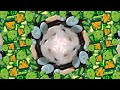 Hamster eating Green food - Kaleidoscope (4K)