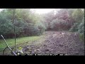 Spartan cam 9-1-21 bucks 1