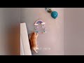 😅 Best Cats and Dogs Videos 🐱 Best Funny Video Compilation 🤣