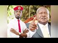 Museveni Love's Bobi wine