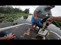 Lake Rousseau Bass fishing before the storm!  #bassfishing #fishinglife #trending