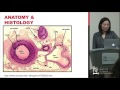 Giant Cell Arteritis: Past and Future by Bonnie Keung M.D.